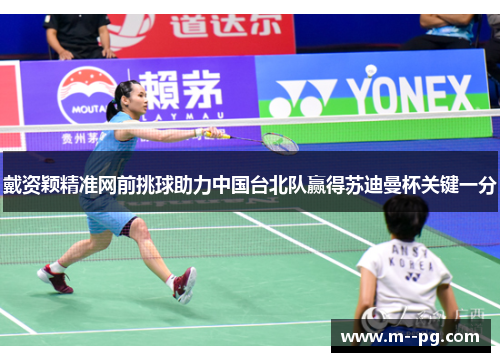 戴资颖精准网前挑球助力中国台北队赢得苏迪曼杯关键一分 戴资颖精准网前挑球助力中国台北队赢得苏迪曼杯关键一分