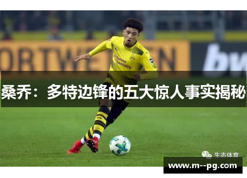 桑乔:多特边锋的五大惊人事实揭秘 桑乔:多特边锋的五大惊人事实揭秘