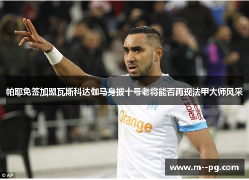 帕耶免签加盟瓦斯科达伽马身披十号老将能否再现法甲大师风采